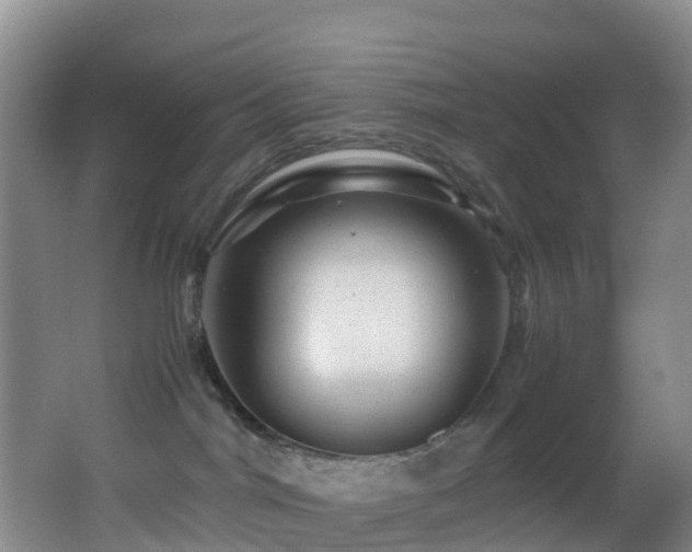 X0000062920044200601131503