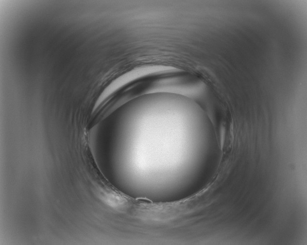 X0000062920045200601131503