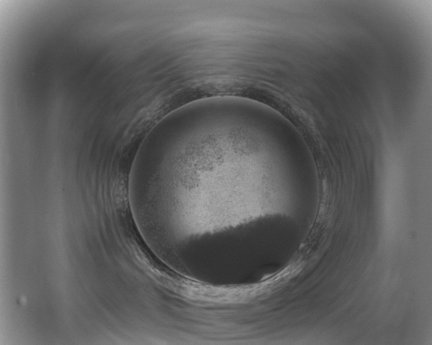 X0000062920048200601131503