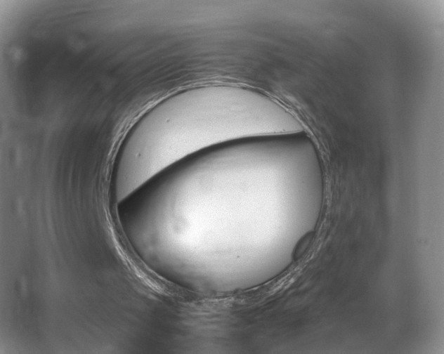 X0000062920049200601131502