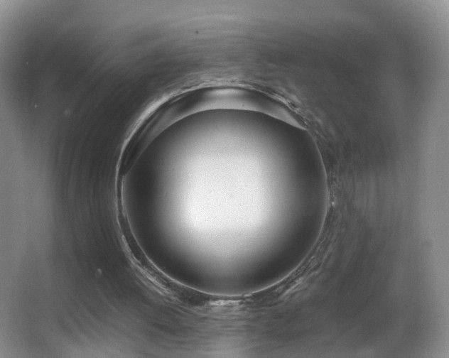 X0000062920052200601131502