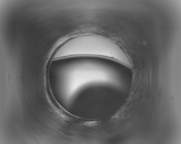 X0000062920054200601131502