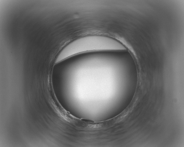 X0000062920057200601131502