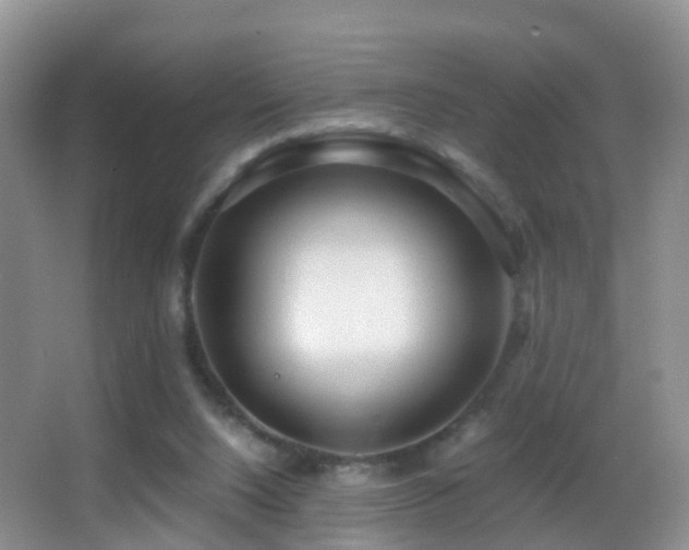 X0000062920064200601131503