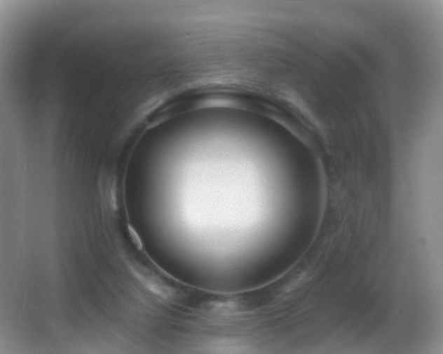X0000062920068200601131503