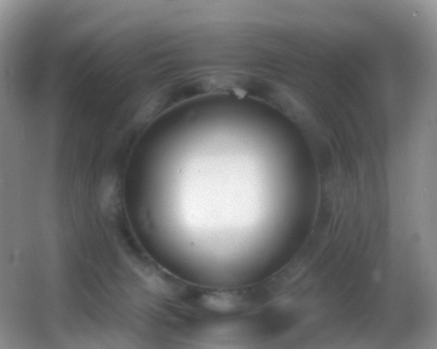 X0000062920079200601131503