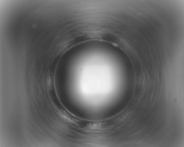 X0000062920084200601131503