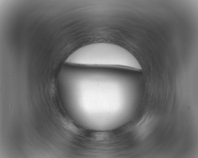 X0000062920085200601131503
