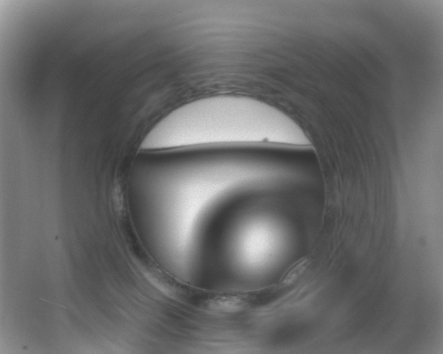 X0000062920086200601131503