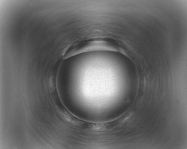X0000062920088200601131503