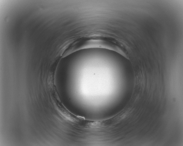 X0000062920092200601131503
