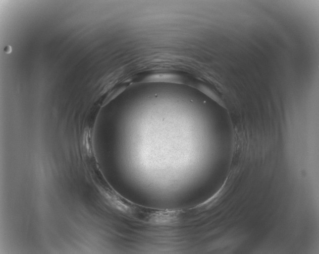 X0000062920094200601131503