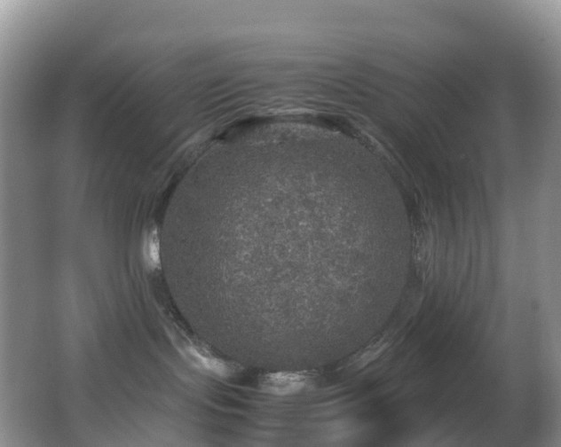 X0000062920095200601131503