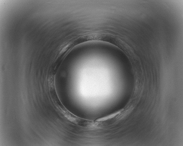 X0000062920096200601131503