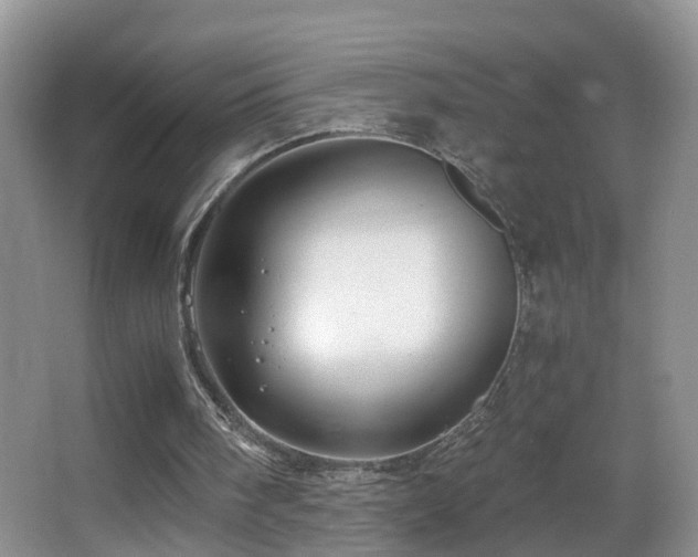 X0000062920098200601131502