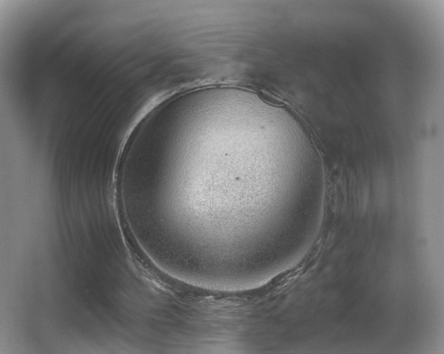 X0000062920100200601131502