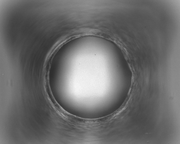 X0000062920101200601131502