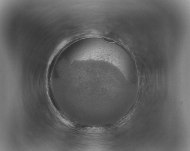 X0000062920102200601131502