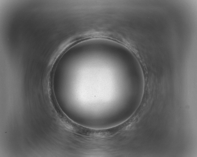 X0000062920103200601131502