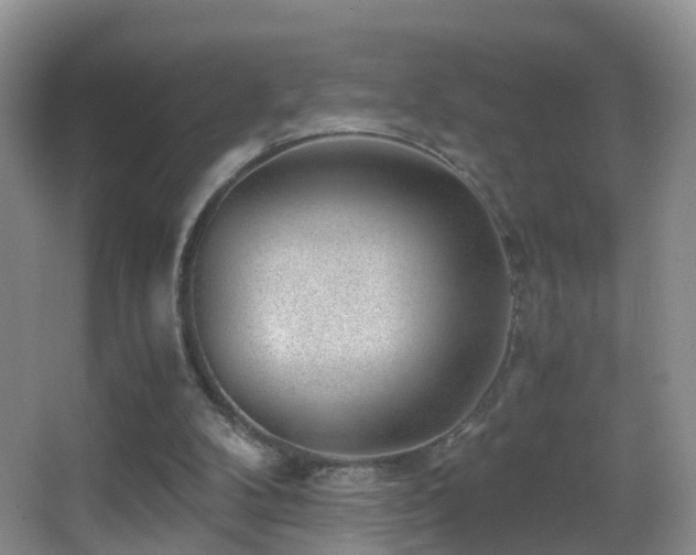 X0000062920104200601131502