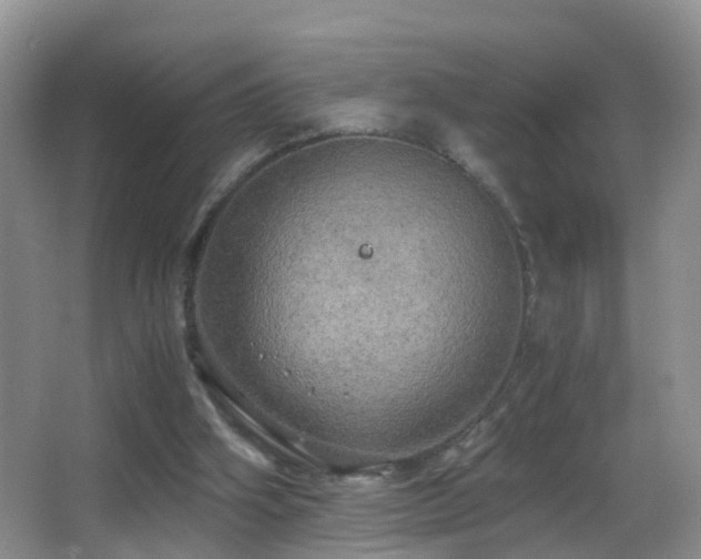 X0000062920106200601131502