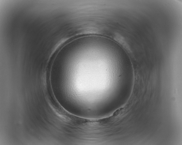 X0000062920108200601131502