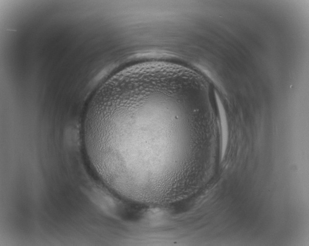 X0000062920111200601131502
