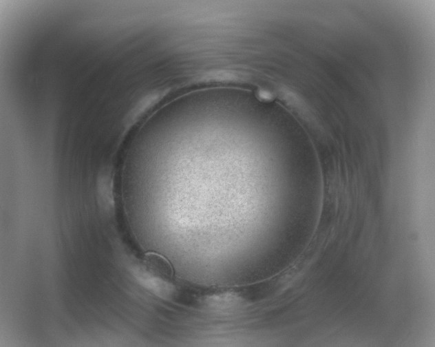 X0000062920112200601131502