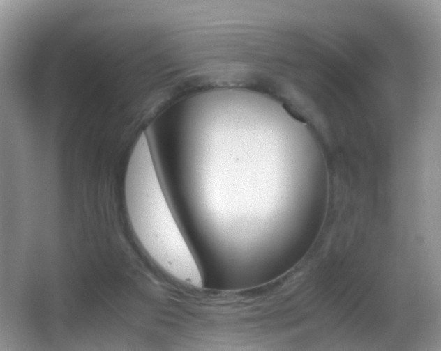 X0000062920113200601131502