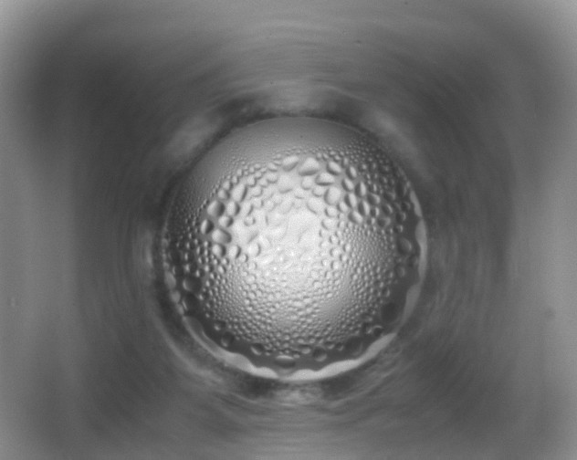 X0000062920115200601131502