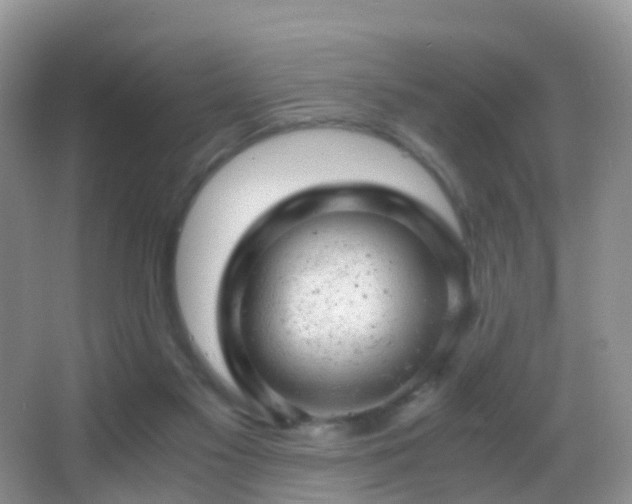X0000062920117200601131502