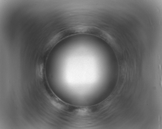 X0000062920118200601131502