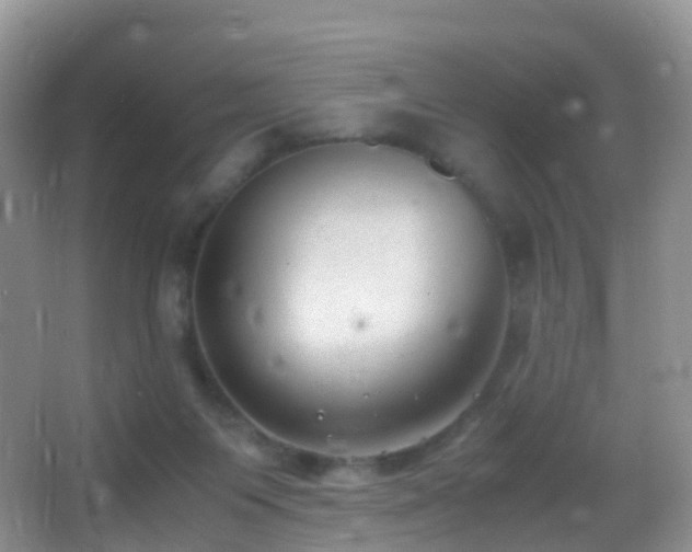 X0000062920119200601131502