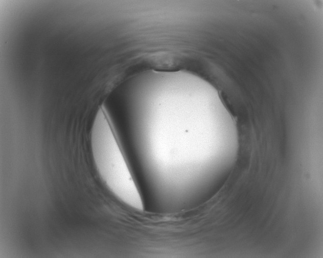 X0000062920125200601131502