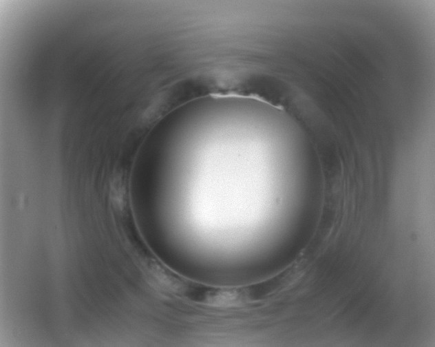 X0000062920129200601131502