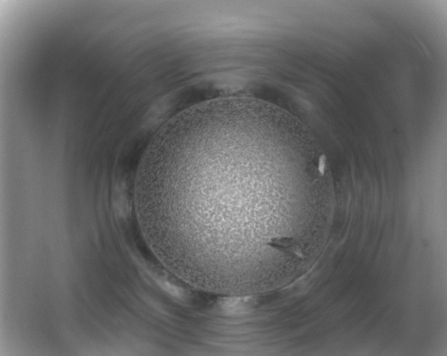 X0000062920136200601131502