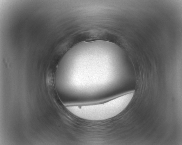 X0000062920137200601131502