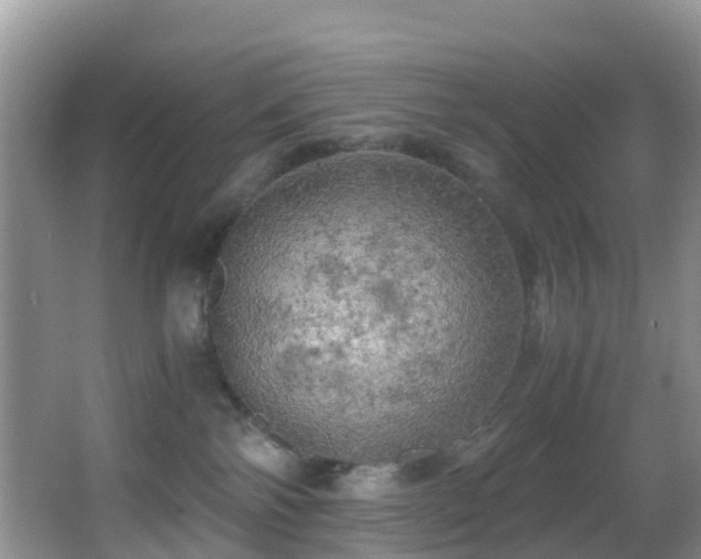 X0000062920138200601131502