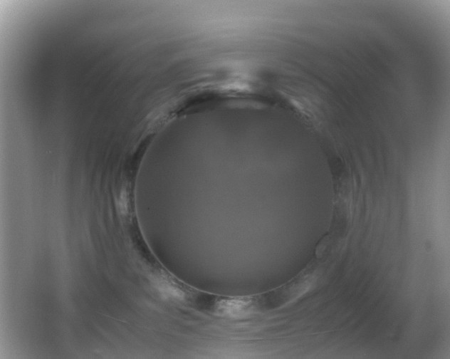 X0000062920139200601131502