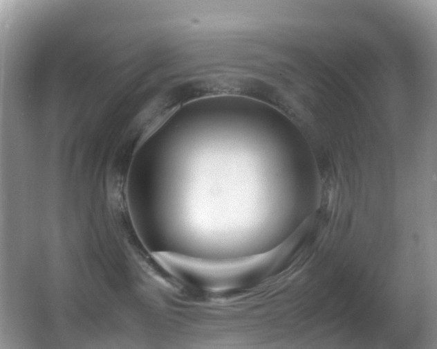 X0000062920141200601131502