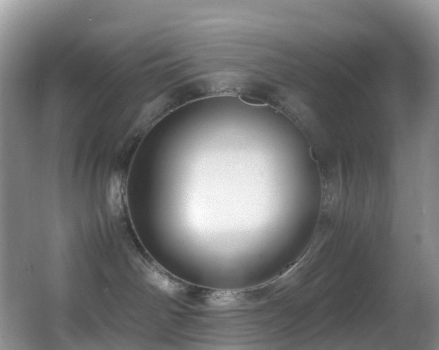 X0000062920142200601131502