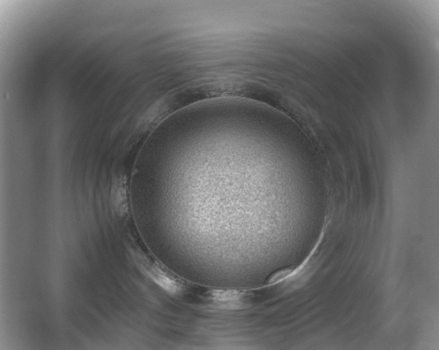 X0000062920144200601131502