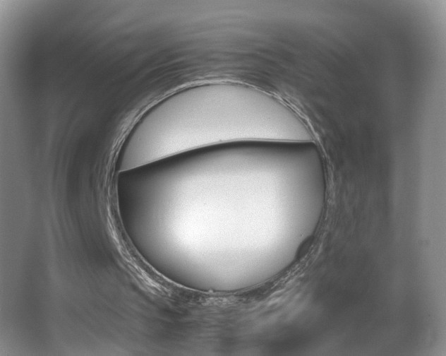 X0000062920145200601131501