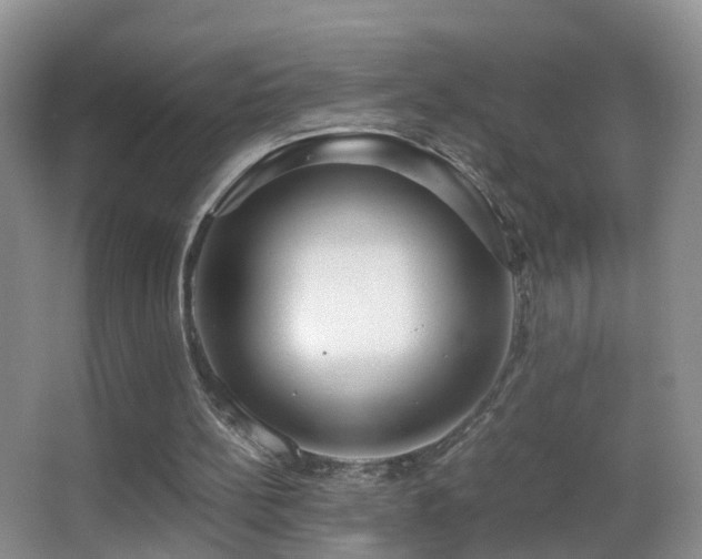 X0000062920148200601131501