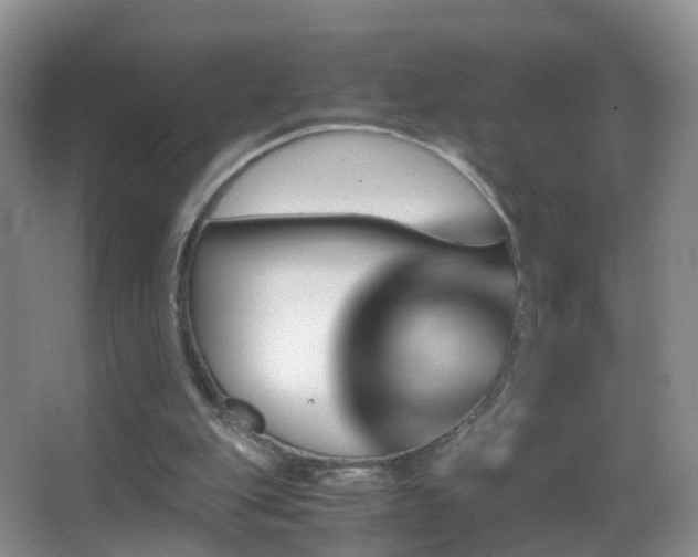 X0000062920151200601131501