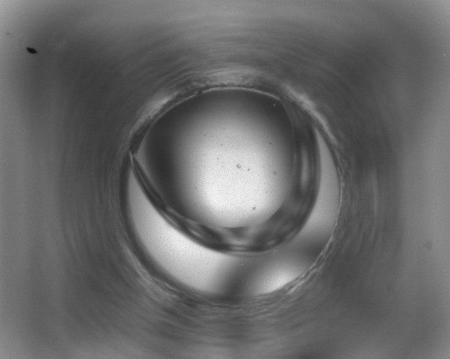 X0000062920154200601131501