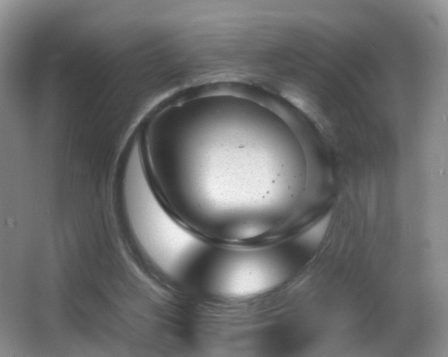 X0000062920156200601131501