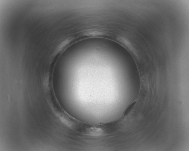 X0000062920159200601131501