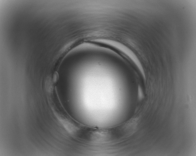 X0000062920164200601131501