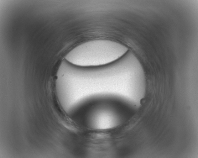 X0000062920165200601131501